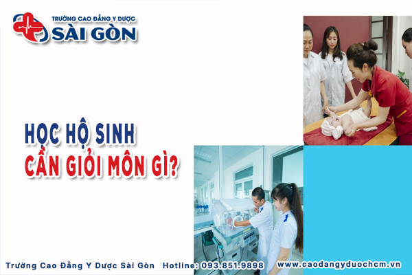Học Hộ sinh cần giỏi môn gì