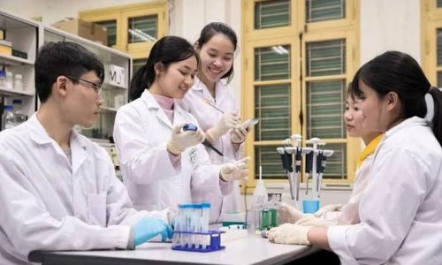Các trường Đại học liên thông ngành Dược mới nhất năm 2026